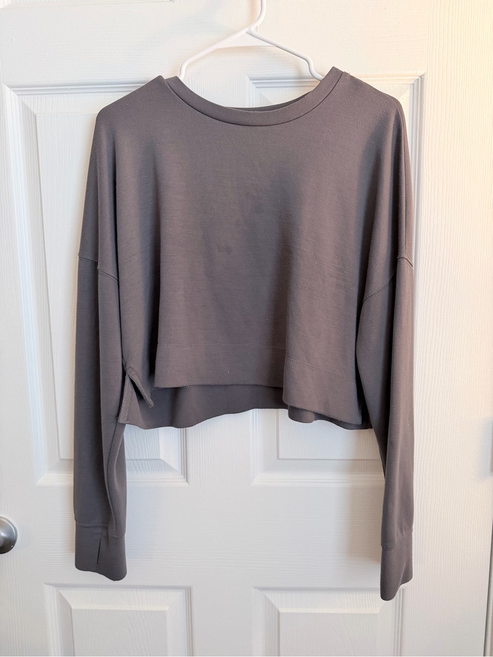 Cropped Long-Sleeve Sweatshirt in Gray